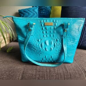 Fair Condition Brahmin Enamel Asher